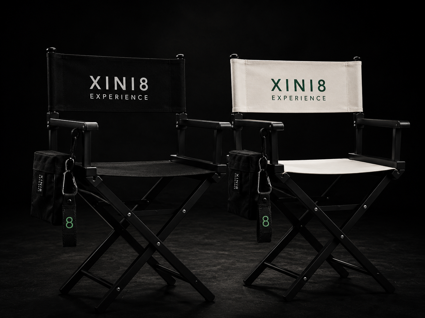 THE DIRECTOR'S CHAIR